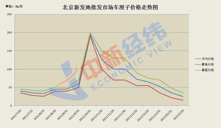 沈月的“孩子气”抹不掉，娃娃领大衣配格纹裙，复古少女感真强